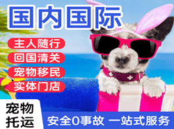 太原空运代理国际宠物托运 【国
